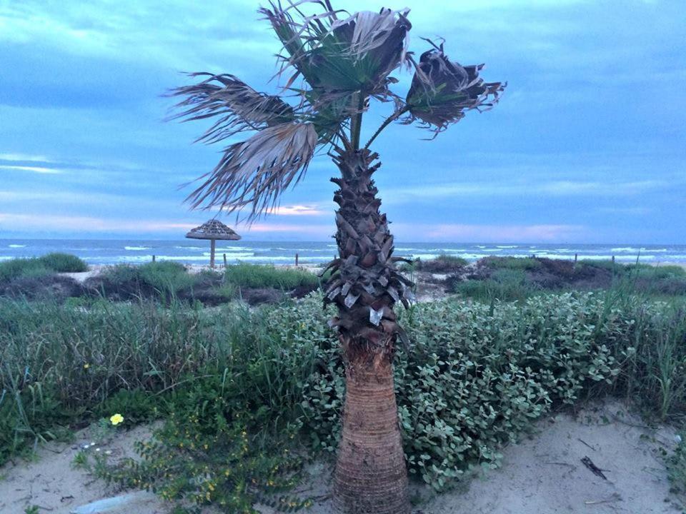 فيلا Unobstructed Oceanfront Seagull Unit 3 Beach Pad! سيرفسايد بيتش المظهر الخارجي الصورة
